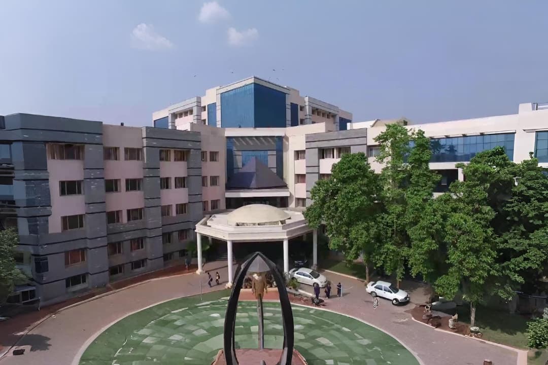 Pharmacy, Nursing & Physiotherapy